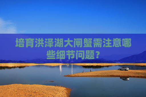 培育洪泽湖大闸蟹需注意哪些细节问题？