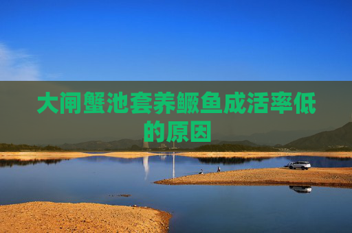 大闸蟹池套养鳜鱼成活率低的原因