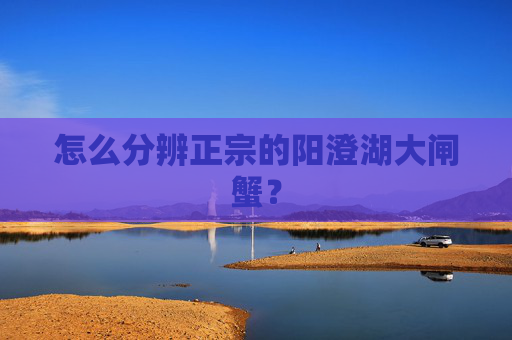 怎么分辨正宗的阳澄湖大闸蟹？