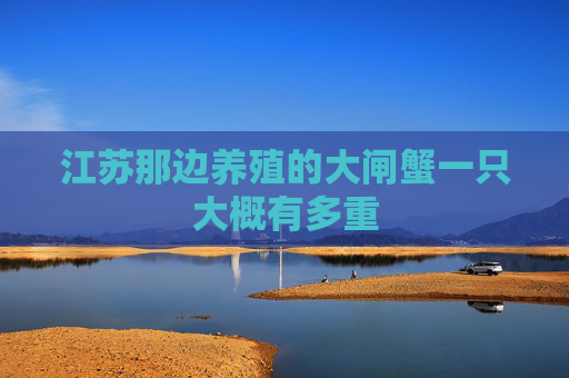 江苏那边养殖的大闸蟹一只大概有多重