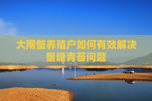 大闸蟹养殖户如何有效解决蟹塘青苔问题