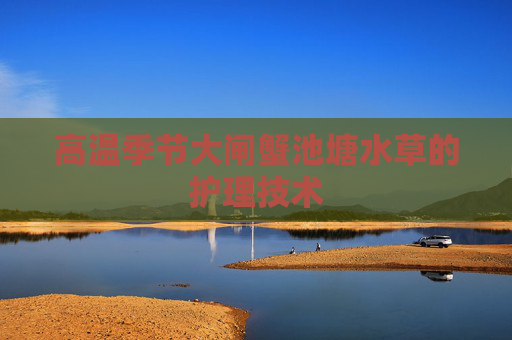 高温季节大闸蟹池塘水草的护理技术
