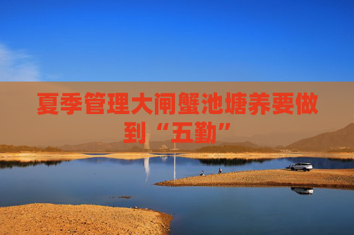 夏季管理大闸蟹池塘养要做到“五勤”