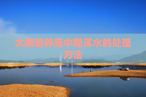 大闸蟹养殖中期浑水的处理方法