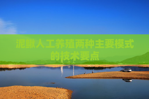 泥鳅人工养殖两种主要模式的技术要点