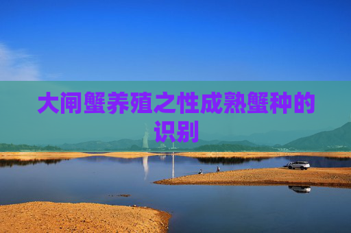 大闸蟹养殖之性成熟蟹种的识别