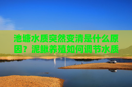 池塘水质突然变清是什么原因？泥鳅养殖如何调节水质