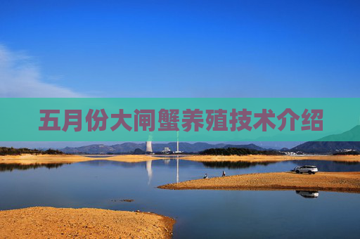 五月份大闸蟹养殖技术介绍