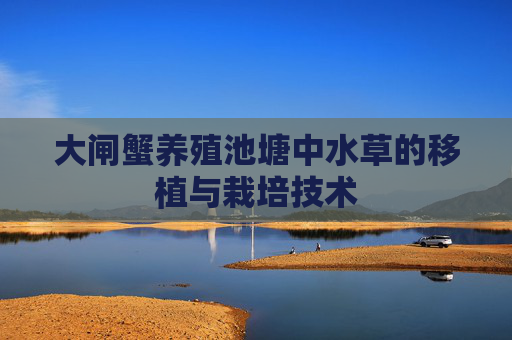 大闸蟹养殖池塘中水草的移植与栽培技术