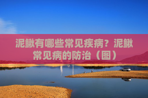 泥鳅有哪些常见疾病？泥鳅常见病的防治（图）