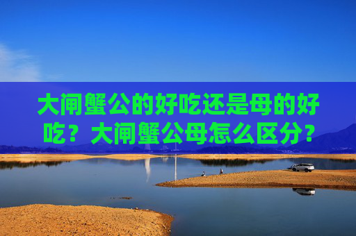 大闸蟹公的好吃还是母的好吃？大闸蟹公母怎么区分？