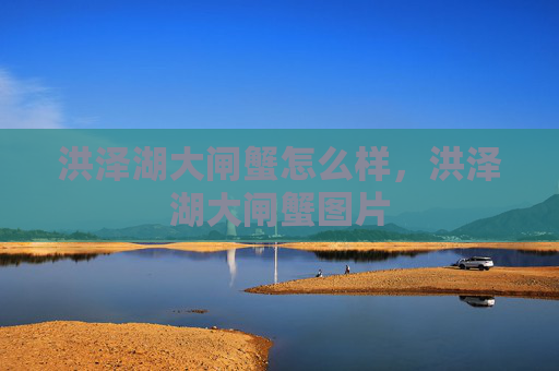 洪泽湖大闸蟹怎么样，洪泽湖大闸蟹图片