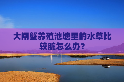 大闸蟹养殖池塘里的水草比较脏怎么办？