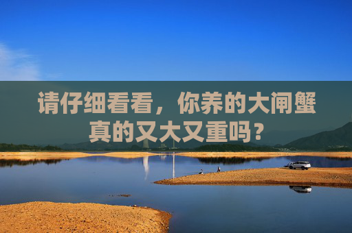 请仔细看看，你养的大闸蟹真的又大又重吗？