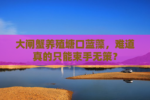 大闸蟹养殖塘口蓝藻,难道真的只能束手无策?