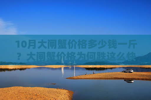 10月大闸蟹价格多少钱一斤？大闸蟹价格为何跌这么快？