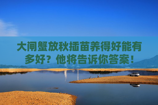 大闸蟹放秋插苗养得好能有多好？他将告诉你答案！