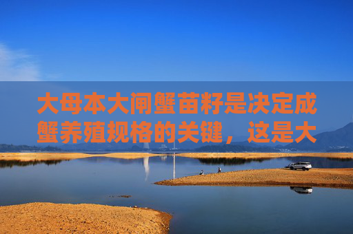 大母本大闸蟹苗籽是决定成蟹养殖规格的关键，这是大实话还是大鬼话？