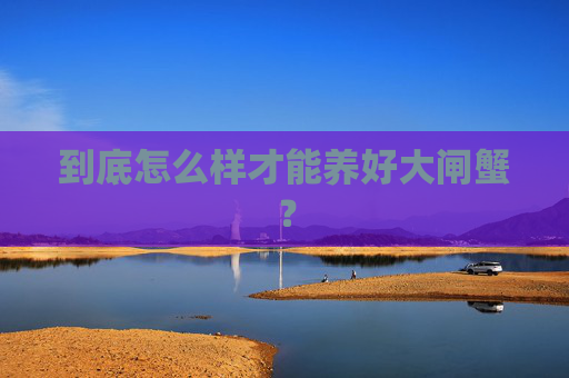 到底怎么样才能养好大闸蟹？