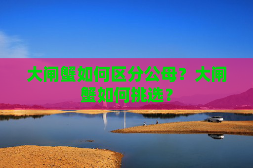 大闸蟹如何区分公母？大闸蟹如何挑选？