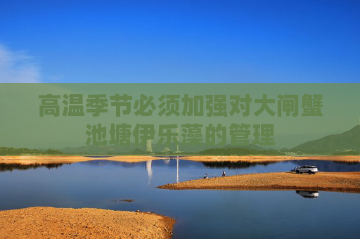 高温季节必须加强对大闸蟹池塘伊乐藻的管理