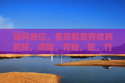 请问各位，重庆那里有收购黄鳝，泥鳅，青蛙，蛇，竹鸡，野鸡，等