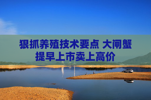 狠抓养殖技术要点 大闸蟹提早上市卖上高价