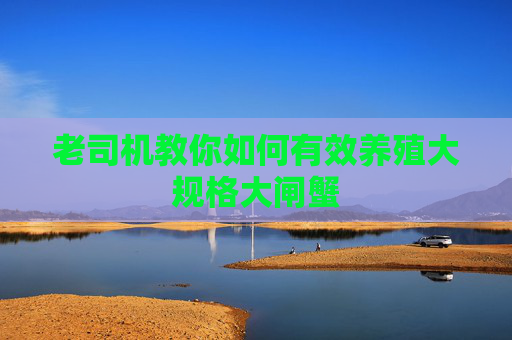 老司机教你如何有效养殖大规格大闸蟹