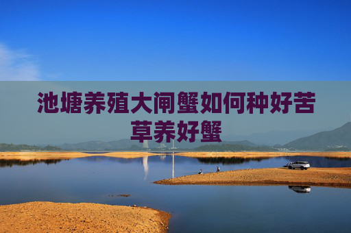 池塘养殖大闸蟹如何种好苦草养好蟹