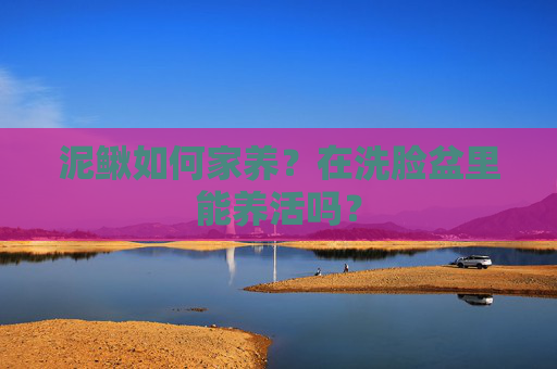泥鳅如何家养？在洗脸盆里能养活吗？