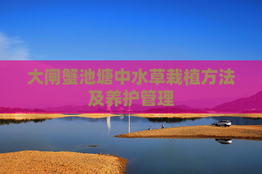 大闸蟹池塘中水草栽植方法及养护管理
