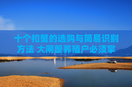 十个扣蟹的选购与简易识别方法 大闸蟹养殖户必须掌握