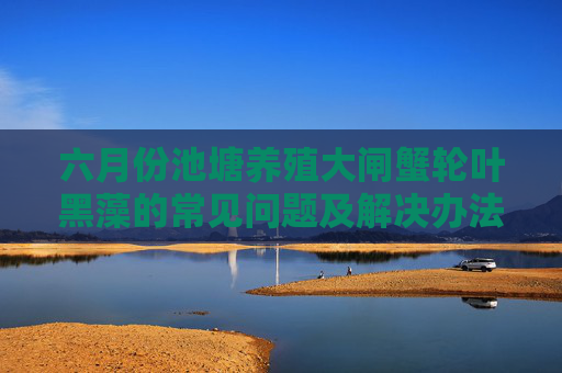 六月份池塘养殖大闸蟹轮叶黑藻的常见问题及解决办法