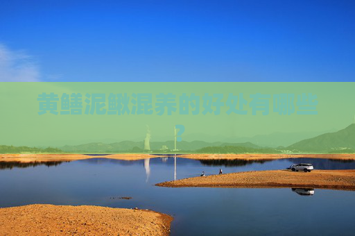 黄鳝泥鳅混养的好处有哪些？