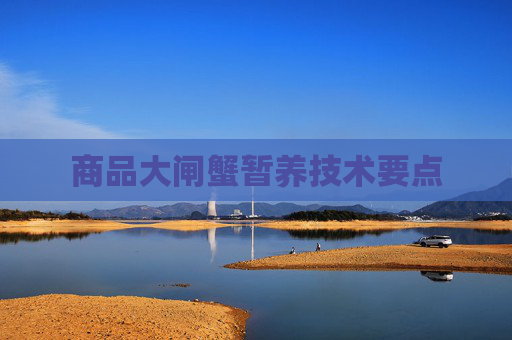 商品大闸蟹暂养技术要点
