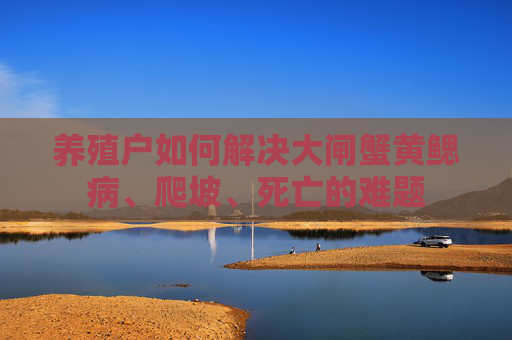 养殖户如何解决大闸蟹黄鳃病、爬坡、死亡的难题