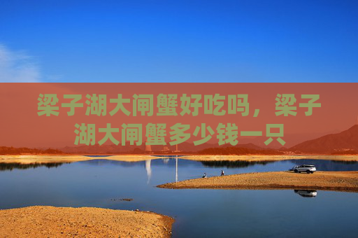 梁子湖大闸蟹好吃吗，梁子湖大闸蟹多少钱一只