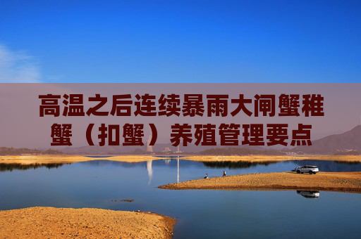 高温之后连续暴雨大闸蟹稚蟹（扣蟹）养殖管理要点