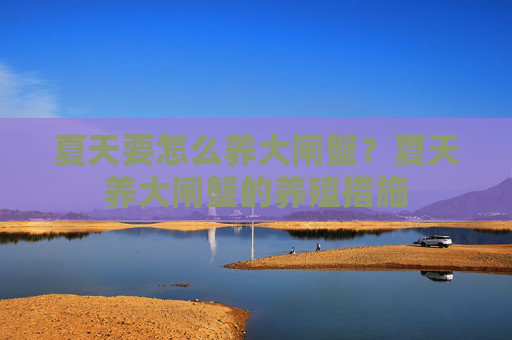 夏天要怎么养大闸蟹？夏天养大闸蟹的养殖措施