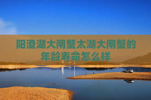 阳澄湖大闸蟹太湖大闸蟹的年龄寿命怎么样
