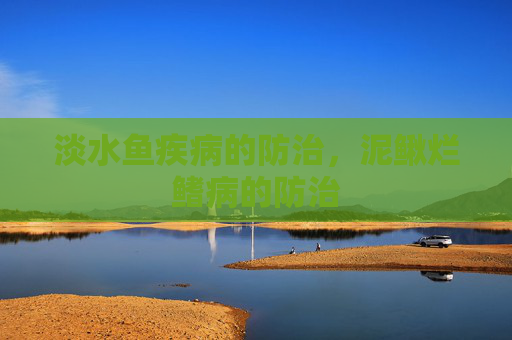 淡水鱼疾病的防治，泥鳅烂鳍病的防治