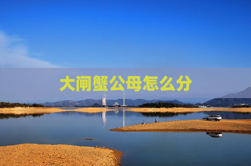 大闸蟹公母怎么分