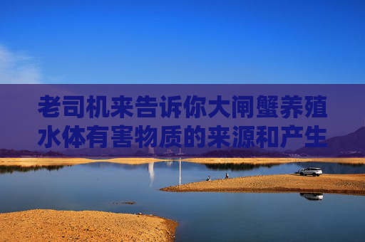 老司机来告诉你大闸蟹养殖水体有害物质的来源和产生的原理