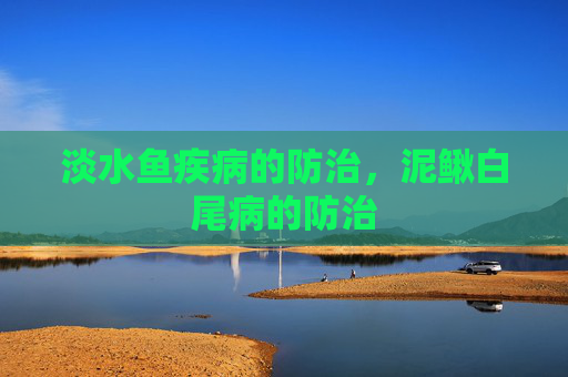 淡水鱼疾病的防治，泥鳅白尾病的防治