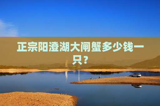 正宗阳澄湖大闸蟹多少钱一只？