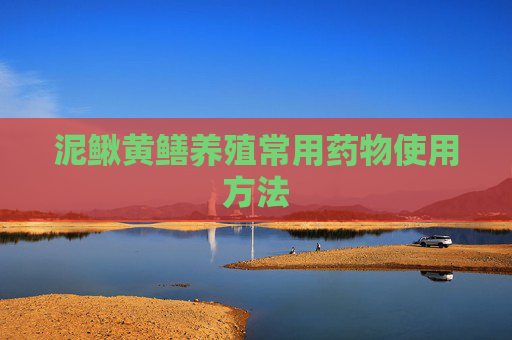 泥鳅黄鳝养殖常用药物使用方法