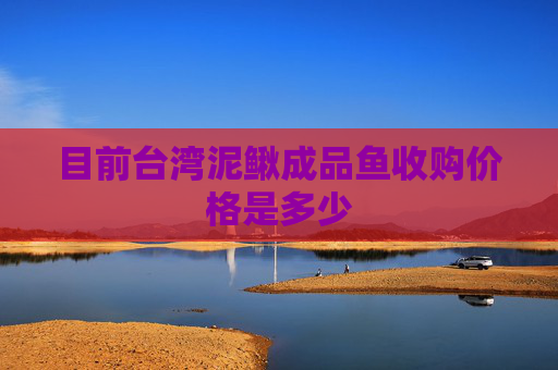 目前台湾泥鳅成品鱼收购价格是多少