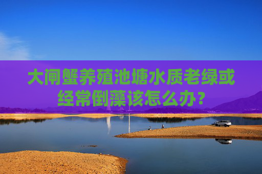 大闸蟹养殖池塘水质老绿或经常倒藻该怎么办？