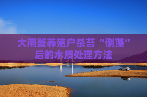 大闸蟹养殖户杀苔“倒藻”后的水质处理方法