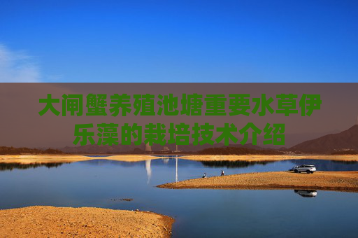 大闸蟹养殖池塘重要水草伊乐藻的栽培技术介绍